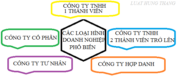 Các loại hình doanh nghiệp phổ biến tại Việt Nam
