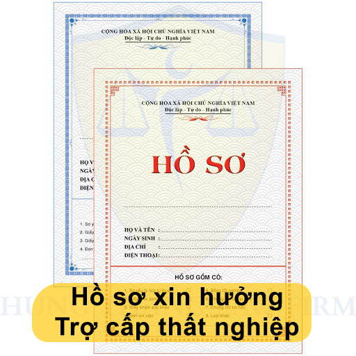 Hồ sơ đề nghị hưởng bảo hiểm thất nghiệp
