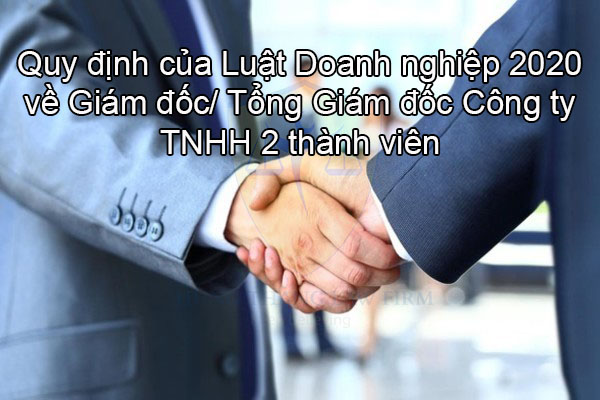 Giám đốc/Tổng Giám đốc Công ty TNHH 2 thành viên