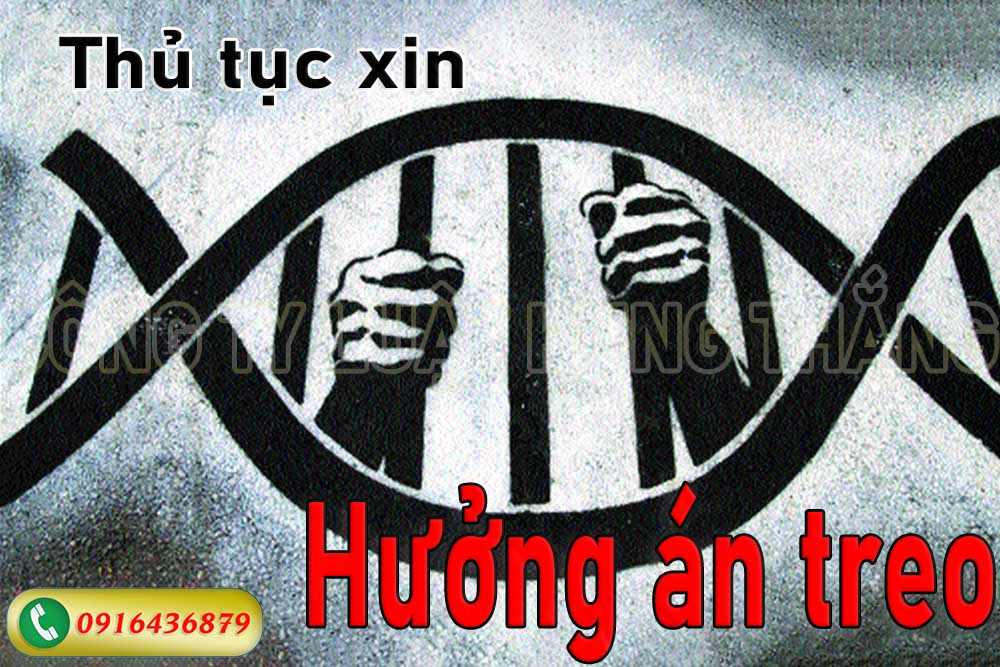 Tư vấn thủ tục xin hưởng án treo trong vụ án hình sự