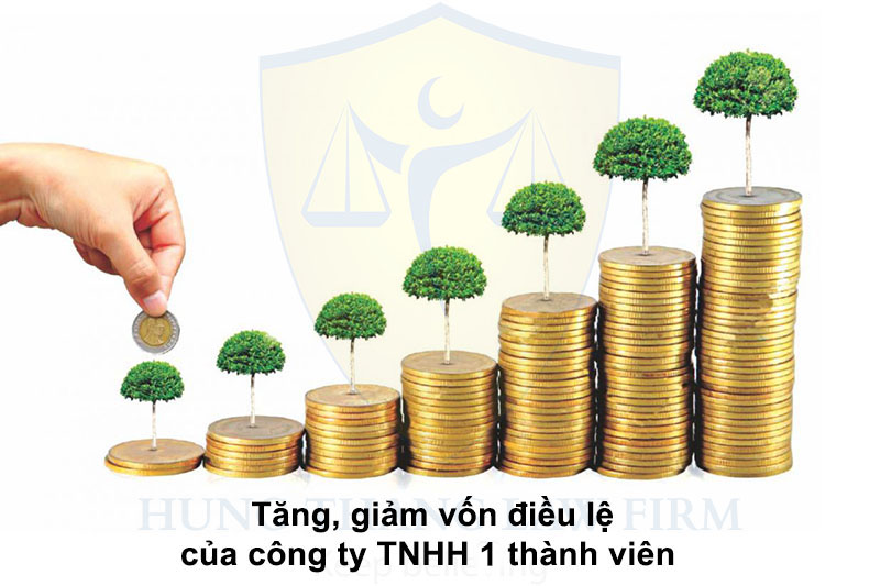 Tăng, giảm vốn điều lệ công ty TNHH 1 thành viên